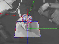 Non-rigid Motion Tracking